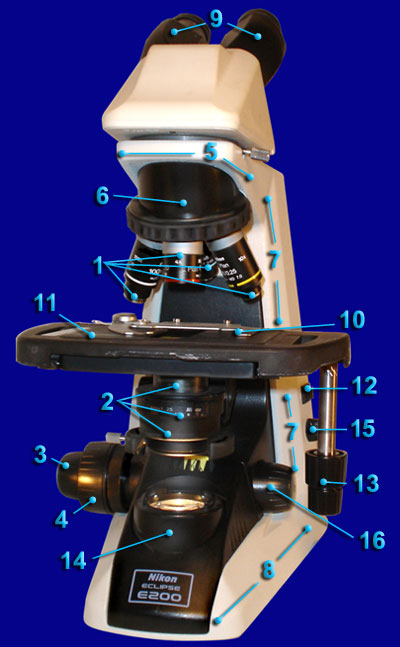 Microscope Front