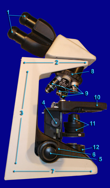 Microscope Side