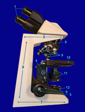 Microsope Side