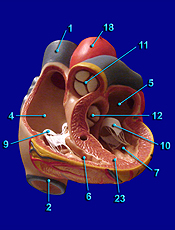 Heat Image 3